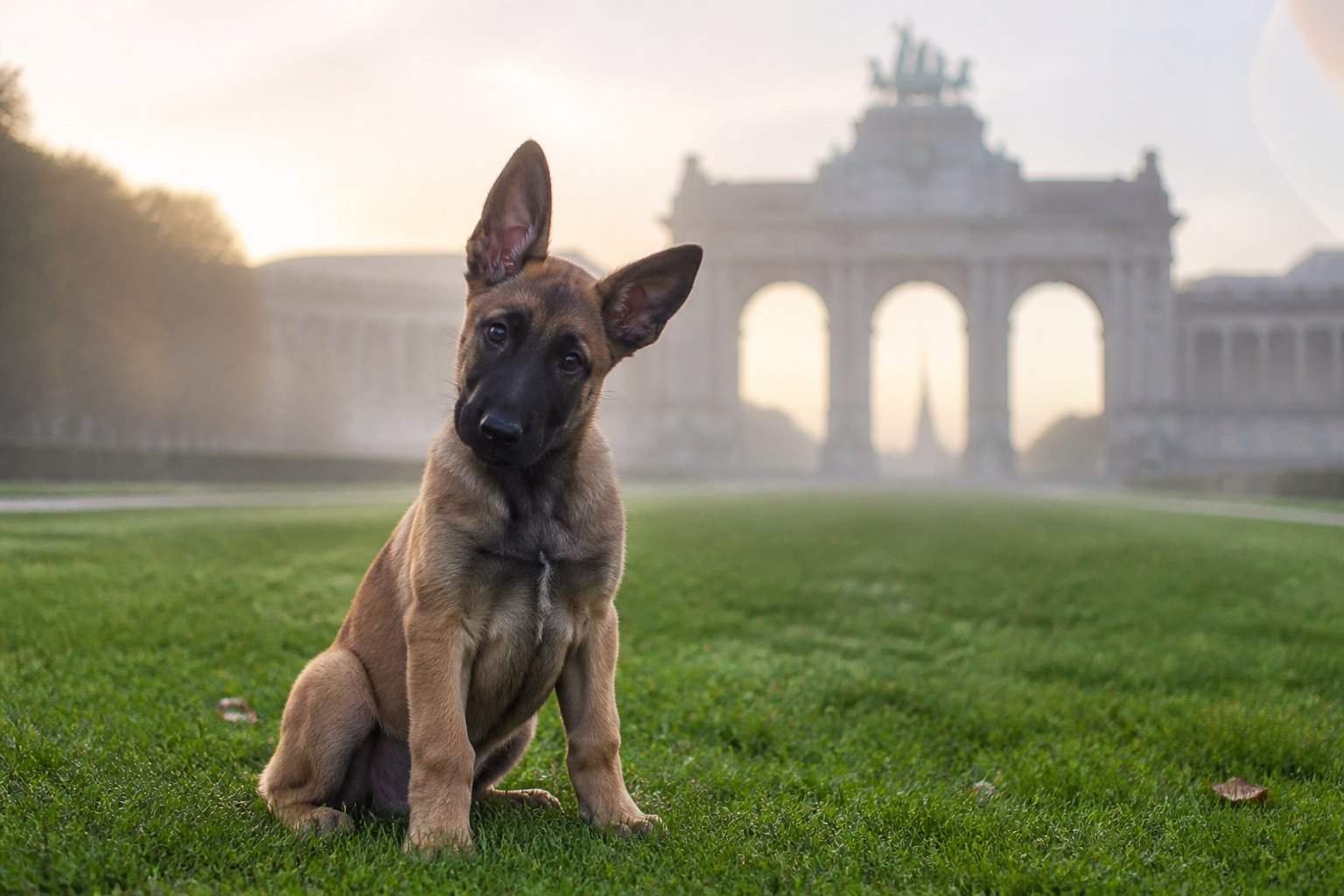Le parc du Cinquantenaire, tôt le matin.